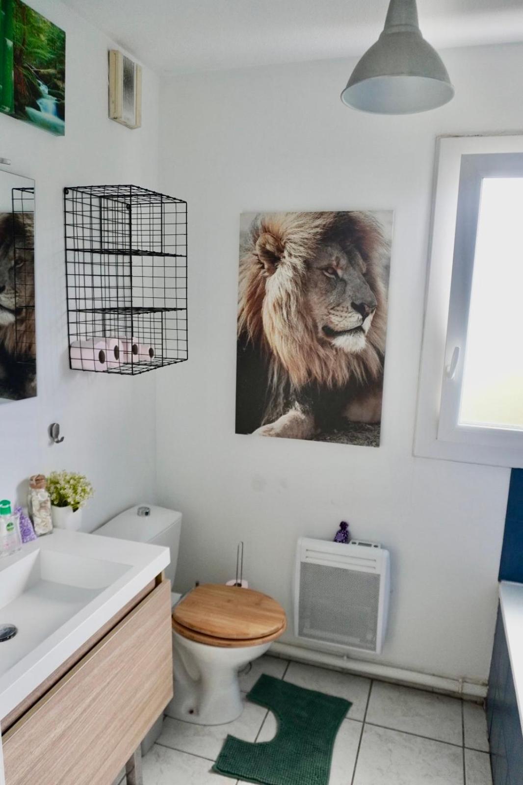 Appartement T2 Lumineux Et Piscine à Montpellier Extérieur photo